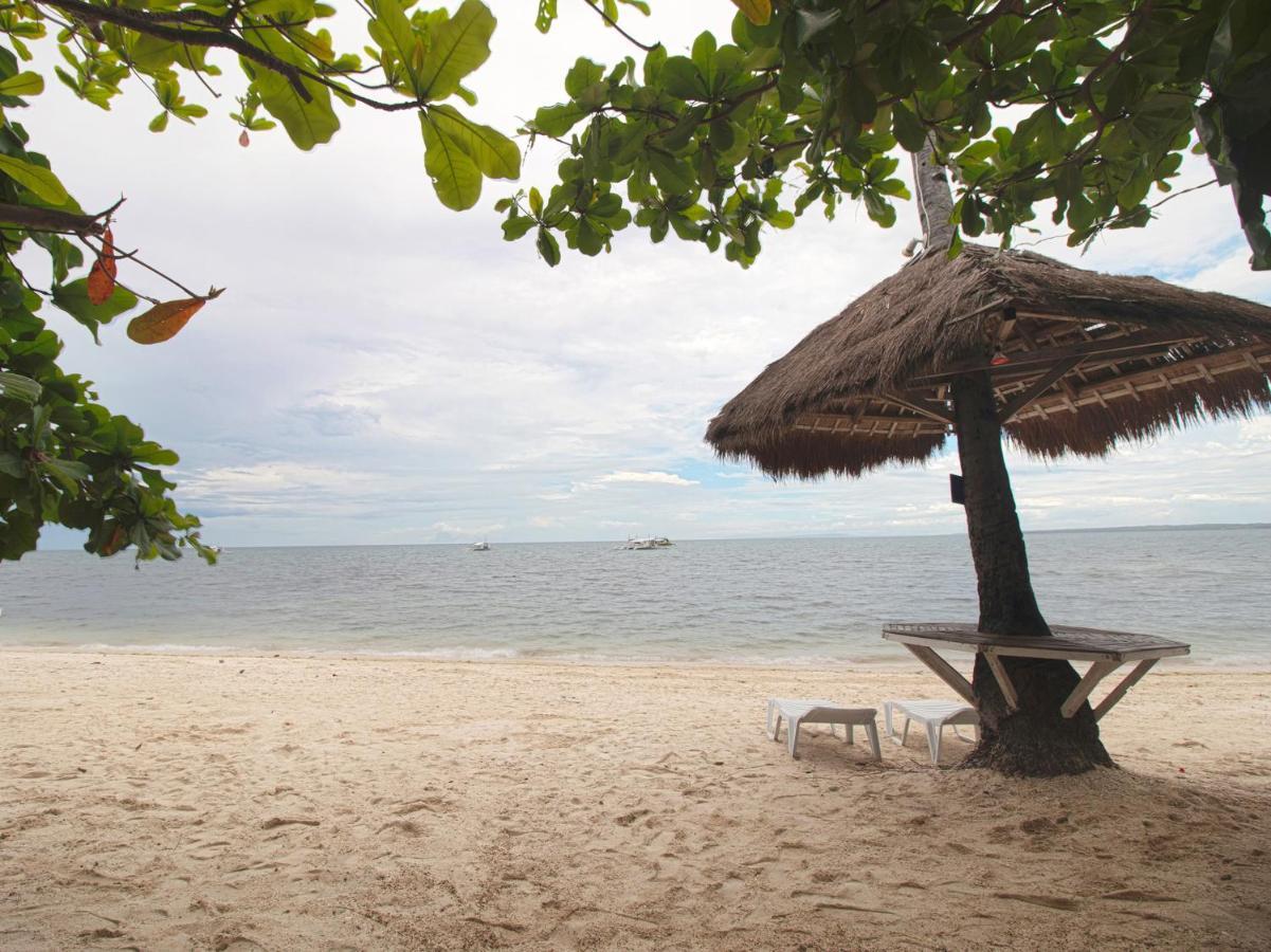 Oyo 853 Malapascua Beach And Dive Resort Exteriér fotografie